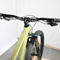 Rose Root Miller 3 | 2023 - M