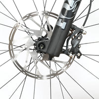 Rose Root Miller 3 | 2023 - M