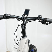 Kalkhoff Entice 3.B | 2023 - L - 1583KM