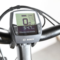 Winora Winora Tria 8 | 2024 - S - 77KM