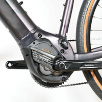 Giant Revolt E+ Pro | 2023 - M - 160KM