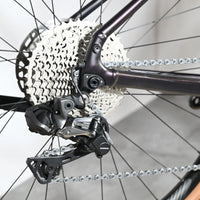 Giant Revolt E+ Pro | 2023 - M - 160KM