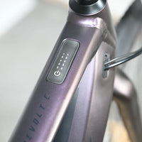 Giant Revolt E+ Pro | 2023 - M - 160KM