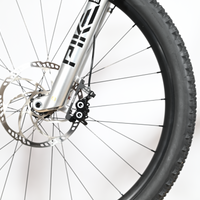 Focus Vam2 SL 9.8 | 2025 - M - 493KM