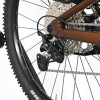 Focus Thron 6.8 EQ | 2024 - L - 1328KM