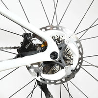 Cannondale SuperSix Evo Carbon 3 | 2024 - 51CM - Loop Sports