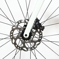 Cannondale Synapse Carbon 3 L | 2023 - 51CM - Loop Sports