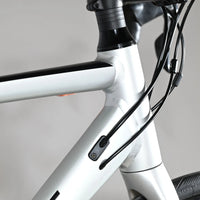 Cube Attain Pro | 2024 - 53CM - Loop Sports