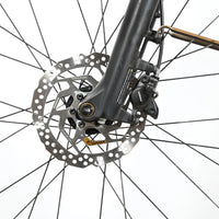 Giant AnyTour E+ 2 LDS | 2021 - S - 1687KM - Loop Sports