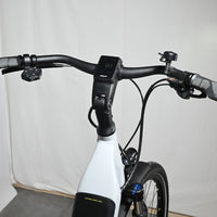 Giant DailyTour E+3 LDS | 2022 - M - 3975KM - Loop Sports