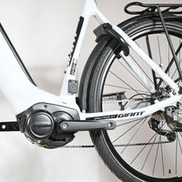 Giant DailyTour E+3 LDS | 2022 - M - 3975KM - Loop Sports