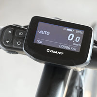 Giant Road E+ 2 | 2021 - M - 985KM - Loop Sports