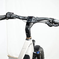 Kalkhoff Entice 5.B Move | 2023 - L - 163KM - Loop Sports