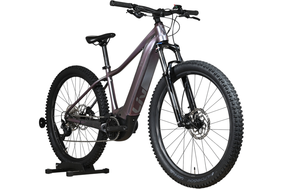 Velo electrique VTT Giant Liv Vall E+2 violet par Loop Sports sur un support en bois