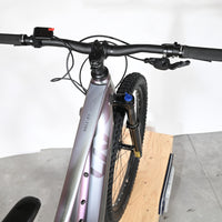 Vue de dessus du guidon et du cadre irisé du vélo électrique Giant Liv Vall E+2 chez Loop Sports