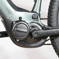 Moteur électrique Giant SyncDrive Sport sur cadre de vélo électrique Loop Sports gris métallisé