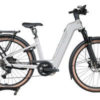 Vélo électrique Kalkhoff Entice 5+ Advance gris chez Loop Sports avec pneus tout-terrain et porte-bagages intégré