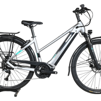 Vélo électrique Loop Sports Pegasus Evo CX 750 argenté avec cadre ouvert, porte-bagages et pneus tout-terrain