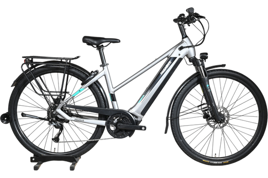 Vélo électrique Loop Sports Pegasus Evo CX 750 argenté avec cadre ouvert, porte-bagages et pneus tout-terrain