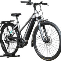 Vélo électrique Loop Sports Pegasus Evo CX 750 gris avec cadre ouvert, porte-bagages et pneus tout-terrain