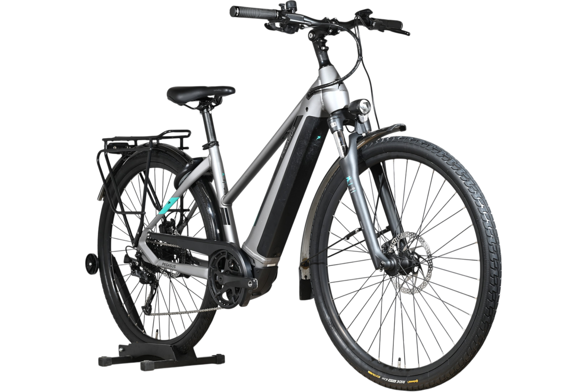 Vélo électrique Loop Sports Pegasus Evo CX 750 gris avec cadre ouvert, porte-bagages et pneus tout-terrain