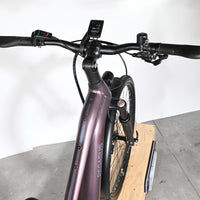 Vue plongeante du guidon et cadre violet du vélo électrique Pegasus Premio Evo 11 40 Years de Loop Sports