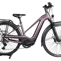 Vélo électrique Pegasus Premio Evo 11 40 Years violet de Loop Sports avec cadre ouvert et porte-bagages