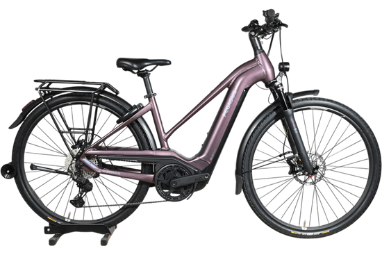 Vélo électrique Pegasus Premio Evo 11 40 Years violet de Loop Sports avec cadre ouvert et porte-bagages