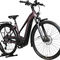 Vélo électrique Loop Sports Pegasus Premio Evo 11 40 Years édition limitée violet foncé avec cadre ouvert