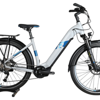 Vélo électrique Loop Sports Raymon Tourray E 5.0 gris et bleu avec porte-bagages et fourche suspendue