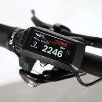 Écran de contrôle Bosch d'un vélo électrique Sunn Charger S1 Loop Sports affichant 2246 km en mode Turbo