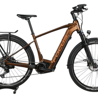 Vélo électrique Focus Aventura 6.8 marron de Loop Sports avec porte-bagages et pneus tout-terrain