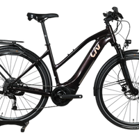Vélo électrique Giant Liv Amiti E+2 2023 noir avec porte-bagages, présenté par Loop Sports sur un socle en bois.