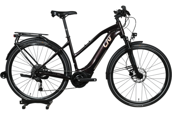 Vélo électrique Giant Liv Amiti E+2 2023 noir avec porte-bagages, présenté par Loop Sports sur un socle en bois.