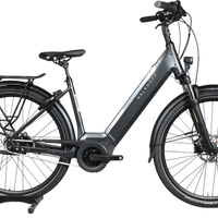 Vélo électrique Kalkhoff Image 3.B Move gris foncé présenté par Loop Sports sur un socle en bois