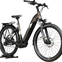 Vélo électrique Loop Sports Raymon TourRay E 5.0 gris foncé avec cadre ouvert, porte-bagages et pneus tout-terrain