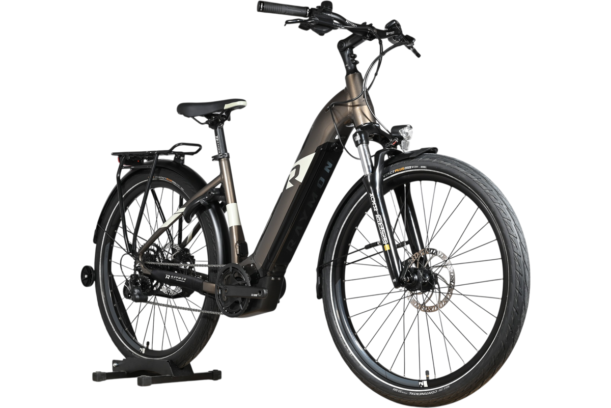 Vélo électrique Loop Sports Raymon TourRay E 5.0 gris foncé avec cadre ouvert, porte-bagages et pneus tout-terrain