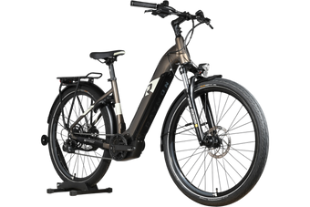 Vélo électrique Loop Sports Raymon TourRay E 5.0 gris foncé avec cadre ouvert, porte-bagages et pneus tout-terrain