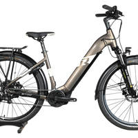 Vélo électrique Loop Sports Raymon TourRay E 5.0 gris avec cadre ouvert, porte-bagages et pneus tout-terrain