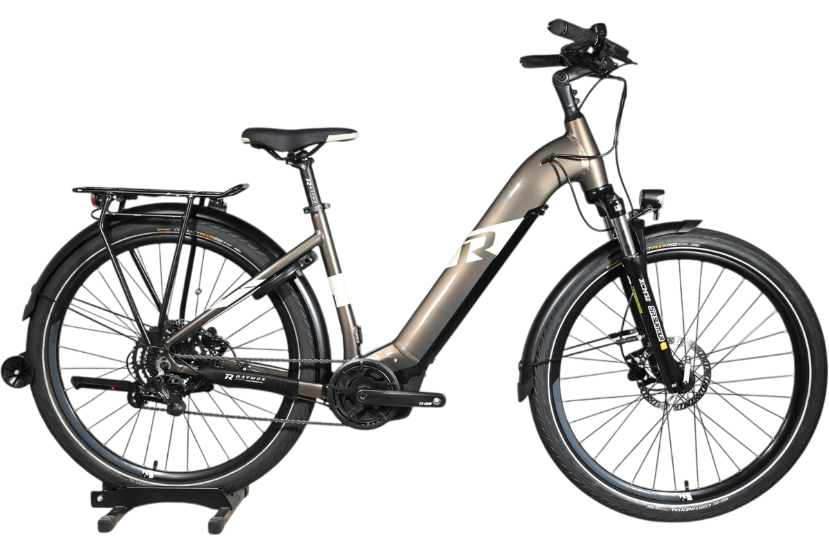 Vélo électrique Loop Sports Raymon TourRay E 5.0 gris avec cadre ouvert, porte-bagages et pneus tout-terrain