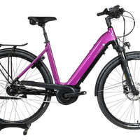 Velo electrique Loop Sports Victoria Trekking 11.5 violet avec cadre ouvert, porte-bagages et pneus tout-terrain