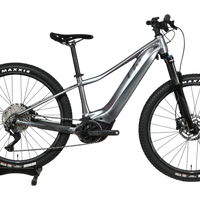 Velo electrique VTT Giant Liv Vall E+2 2025 gris argent de Loop Sports sur support en bois