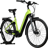 Vélo électrique Loop Sports Victoria eManufaktur 11.7 2023 vert citron avec cadre ouvert et porte-bagages