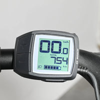 Riese & Müller Transporter 65 Vario | 2024 - M - 754KM - Loop Sports