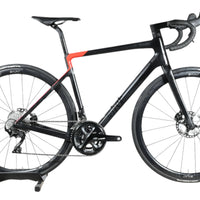 Rose Reveal Four Disc 105 | 2023 - 55CM - Loop Sports