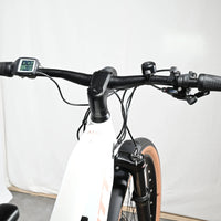 Scott Axis eRide 10 Lady | 2023 - M - 507KM - Loop Sports
