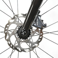 Specialized Diverge Comp Carbon | 2023 - 56CM - Loop Sports