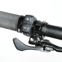 Specialized Turbo Levo Comp Alloy | 2023 - XL - 1758KM - Loop Sports