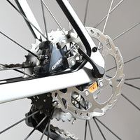 Stevens Camino Pro | 2024 - 58CM - Loop Sports