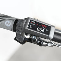 Sunn Rage EVO | 2024 - M - 665KM - Loop Sports